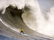 IG引发争议！，莎拉波娃官方宣布晋级下一阶段新规全场沸腾不已