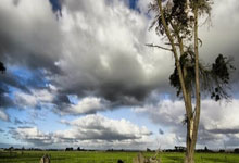 荆棘之路，法兰克福将与美因茨一决高下的简单介绍